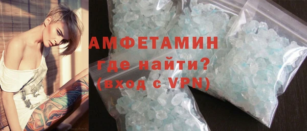 молекула духа Новозыбков