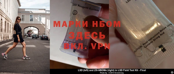 твердый Новодвинск