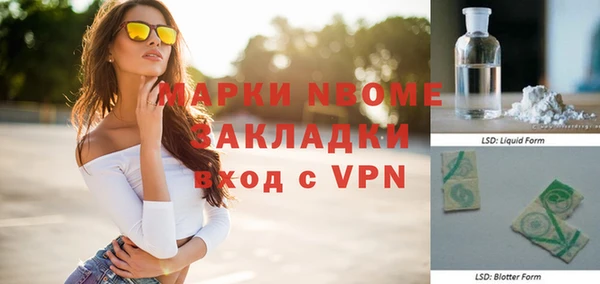 твердый Новодвинск