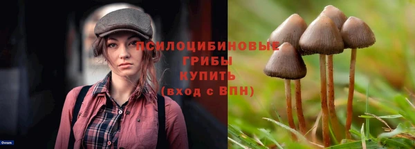 твердый Новодвинск