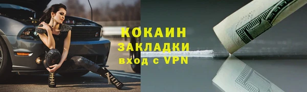 твердый Новодвинск