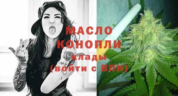 молекула духа Новозыбков