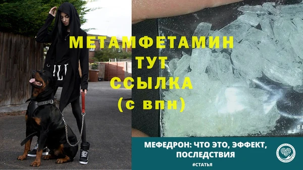 молекула духа Новозыбков