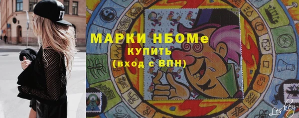 молекула духа Новозыбков