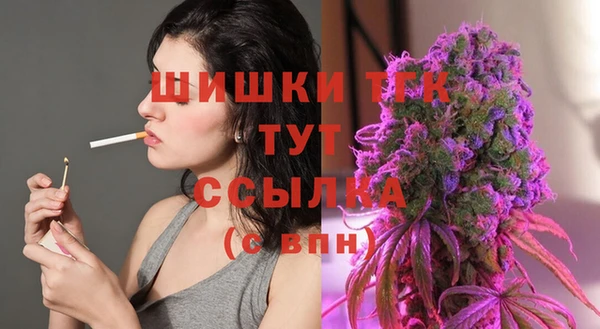 молекула духа Новозыбков