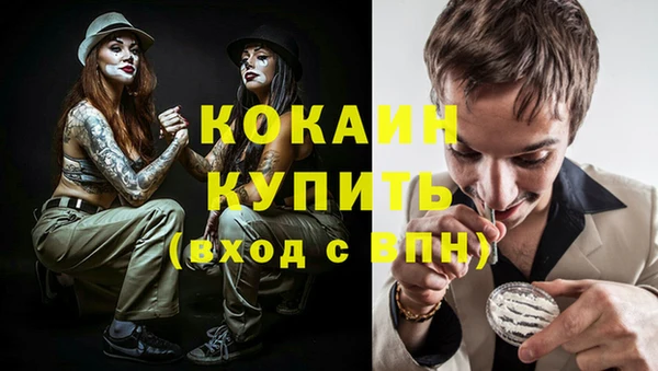 молекула духа Новозыбков