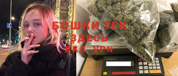 твердый Новодвинск