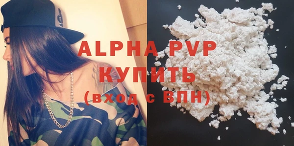 молекула духа Новозыбков