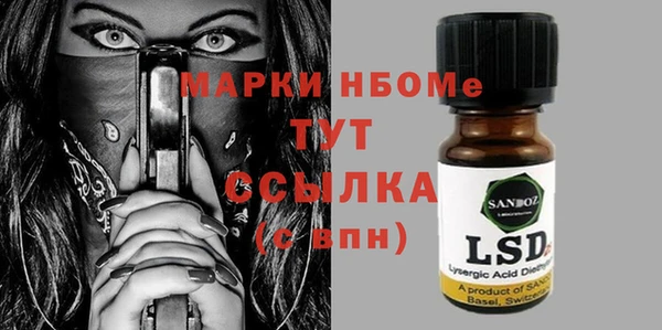твердый Новодвинск