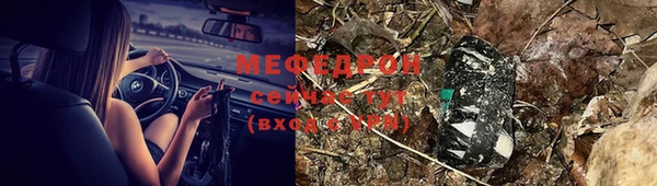 молекула духа Новозыбков