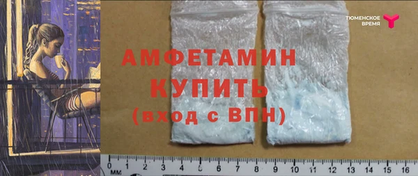 твердый Новодвинск