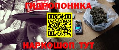 шишки Берёзовский