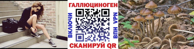 Псилоцибиновые грибы Psilocybine cubensis  Балашиха 