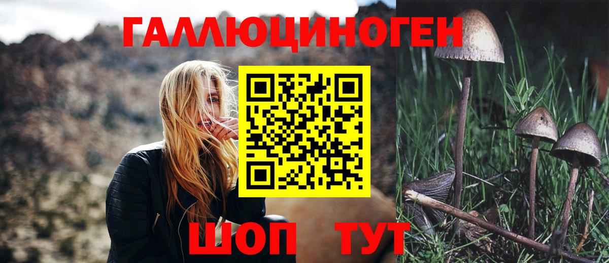 Псилоцибиновые грибы GOLDEN TEACHER  Галлюциногенные грибы прущие грибы  Балашиха 