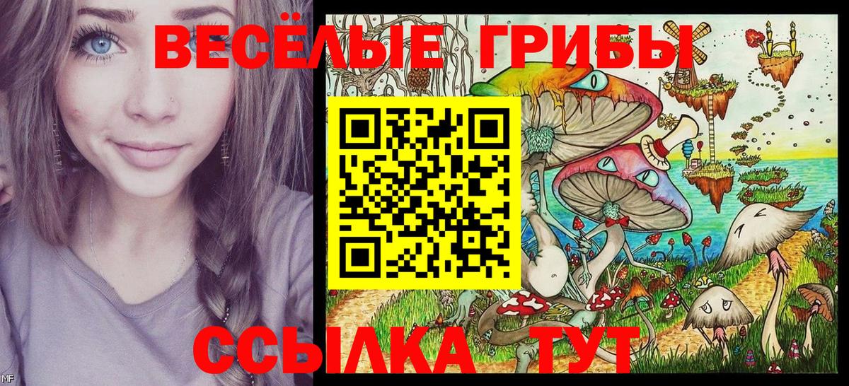 Галлюциногенные грибы Cubensis  Вход с VPN  Балашиха 