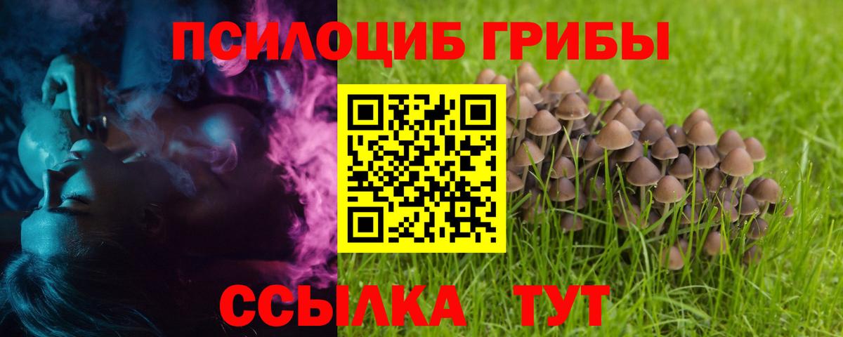 Галлюциногенные грибы GOLDEN TEACHER Балашиха